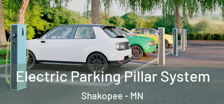  Electric Parking Pillar System Shakopee - MN