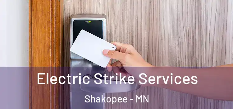  Electric Strike Services Shakopee - MN