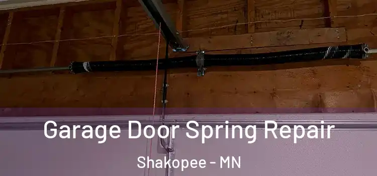  Garage Door Spring Repair Shakopee - MN