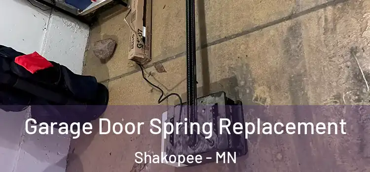  Garage Door Spring Replacement Shakopee - MN