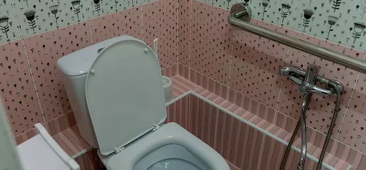Meeting Diverse Needs With Accessible Restroom Solutions in Shakopee, MN