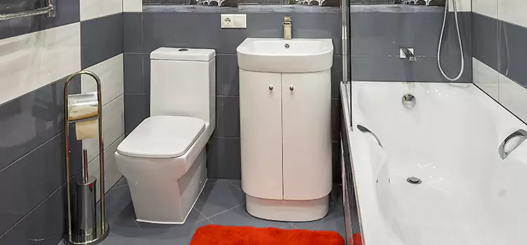 Hansgrohe Shaving Mirror Shakopee