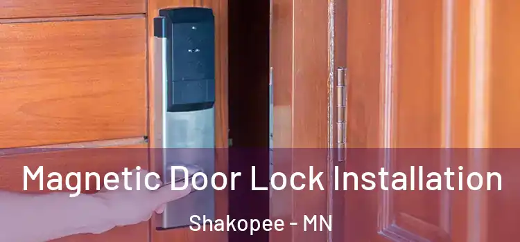  Magnetic Door Lock Installation Shakopee - MN