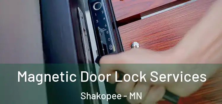  Magnetic Door Lock Services Shakopee - MN